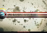 世俱杯直播-世俱杯赛事赞助品牌推广活动方案及执行要点